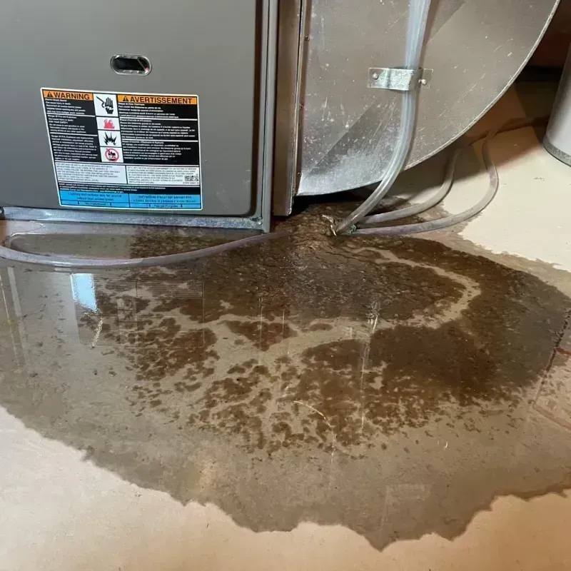 Appliance Leak Cleanup in Mitchell, IL